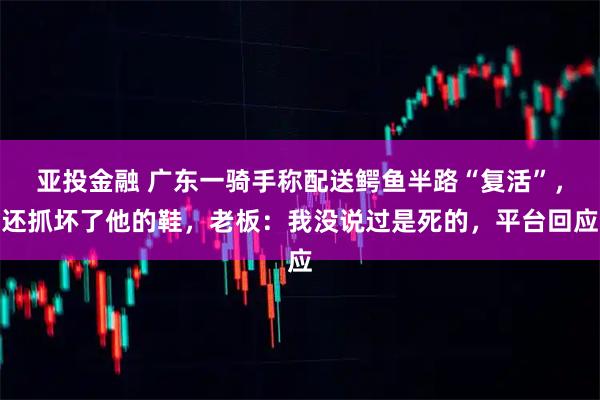 亚投金融 广东一骑手称配送鳄鱼半路“复活”，还抓坏了他的鞋，老板：我没说过是死的，平台回应