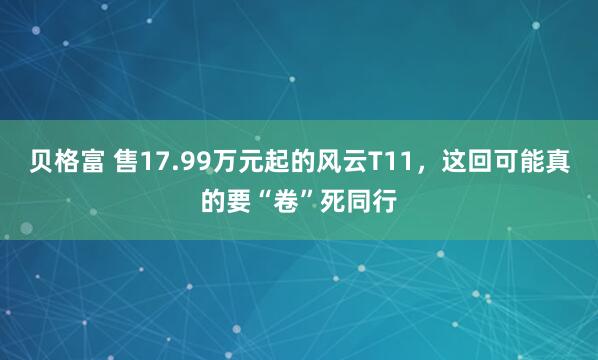 贝格富 售17.99万元起的风云T11，这回可能真的要“卷”死同行