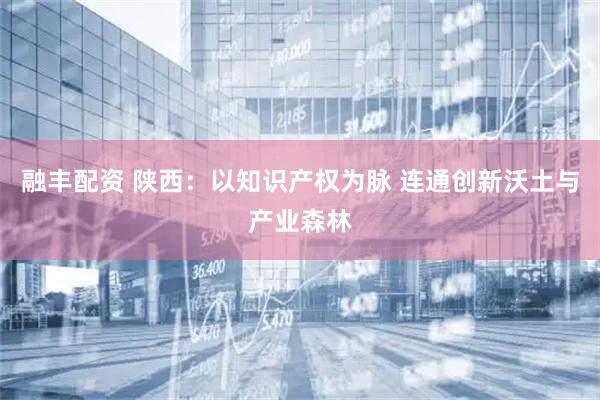融丰配资 陕西：以知识产权为脉 连通创新沃土与产业森林