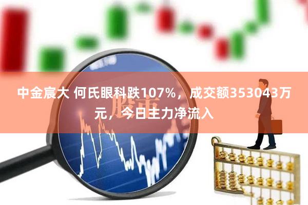 中金宸大 何氏眼科跌107%，成交额353043万元，今日主力净流入