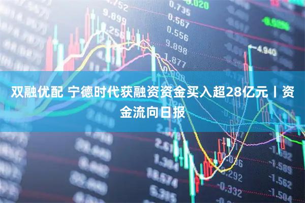 双融优配 宁德时代获融资资金买入超28亿元丨资金流向日报